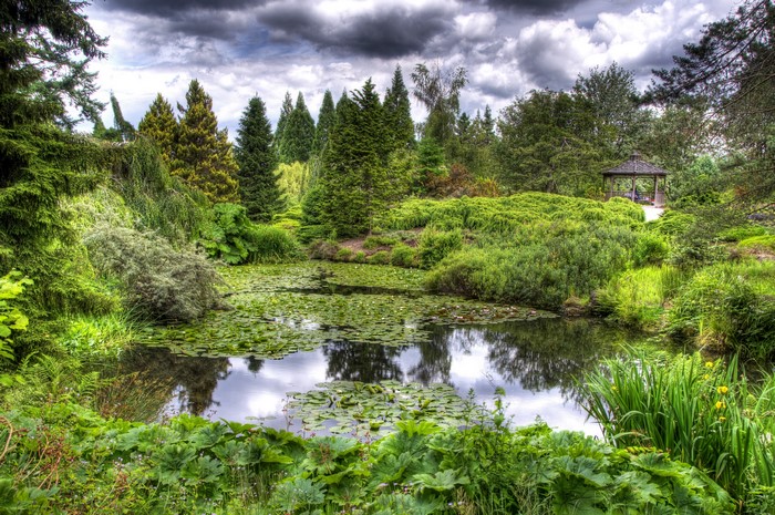 Park with pond and gazebo