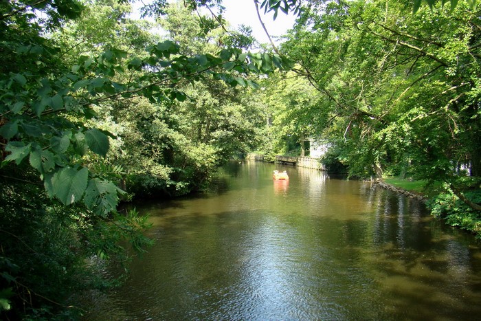 Orange paddle boat on a river surrounded by trees