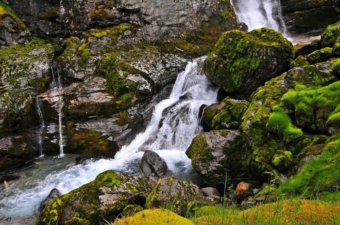 Mossy rocks and waterfalls in a rocky gorge