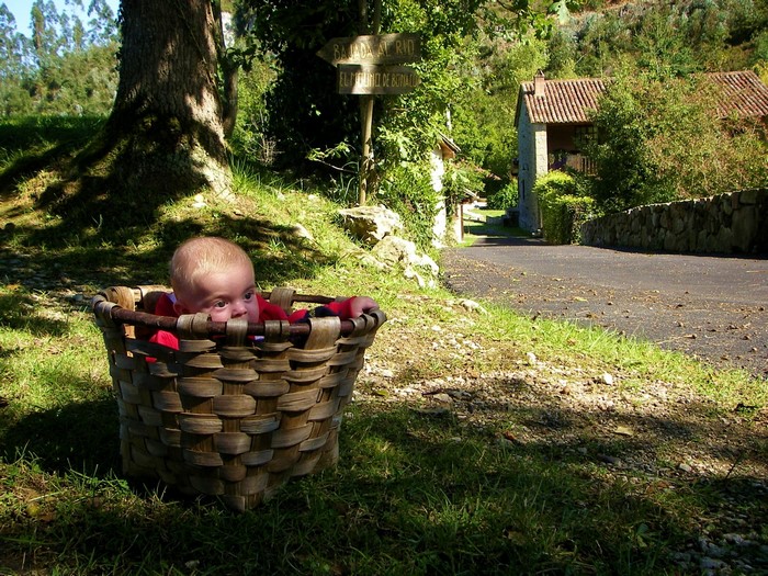 Baby in a wicker basket outdoors
