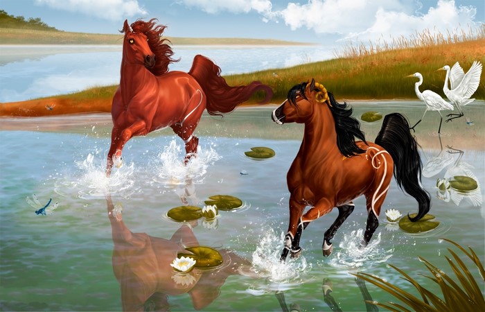Two horses running through water with egrets