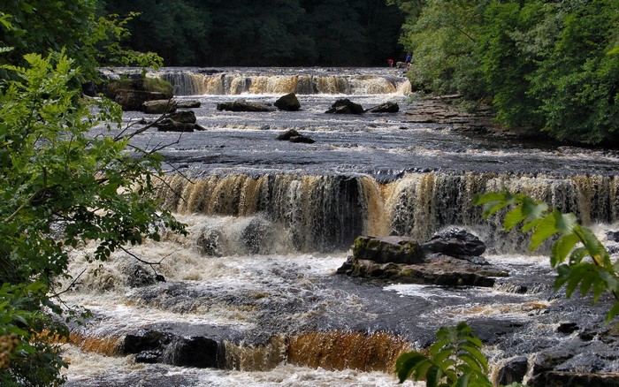 Waterfalls flowing over rocks in a forest