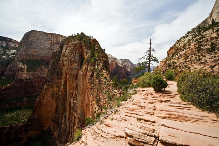 Zion National Park, Utah, USA