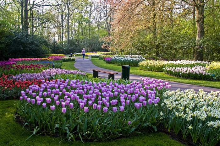 Keukenhof Gardens in Lisse, Netherlands with colorful tulips