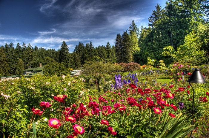 Beautiful Garden with Red and Pink Flowers and Trees