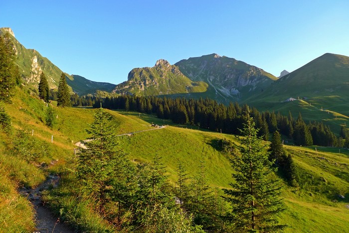 Gantrisch Switzerland mountain landscape with trees and path