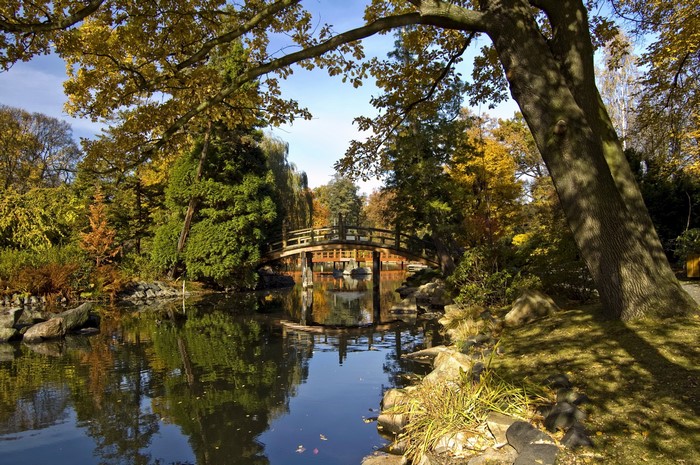 Japanese Garden with Bridge over Pond in Wroclaw, Poland