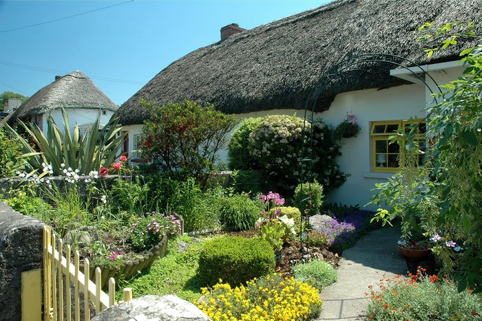 Thatched roof cottages with a colorful garden in Ireland
