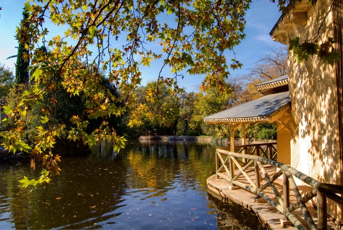 Autumn park with a lake and a wooden pavilion