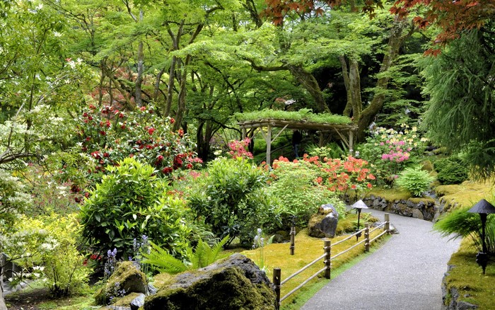 Japanese Garden with Flowers and Path