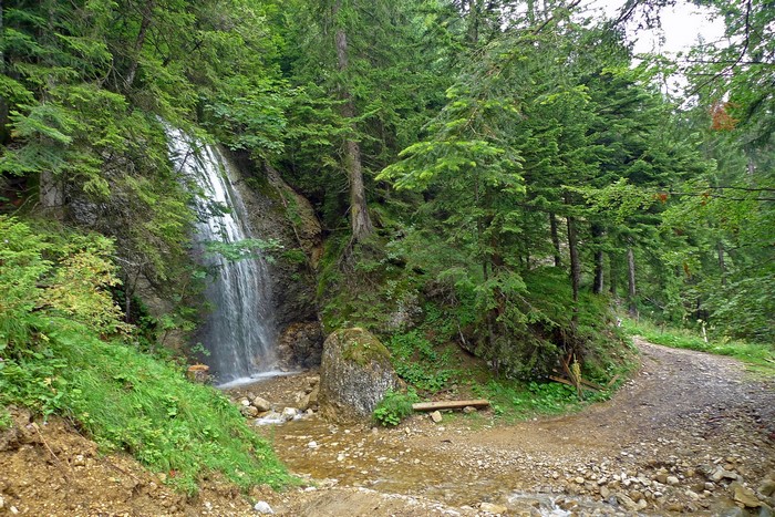 Waterfall in a lush green forest with a dirt path