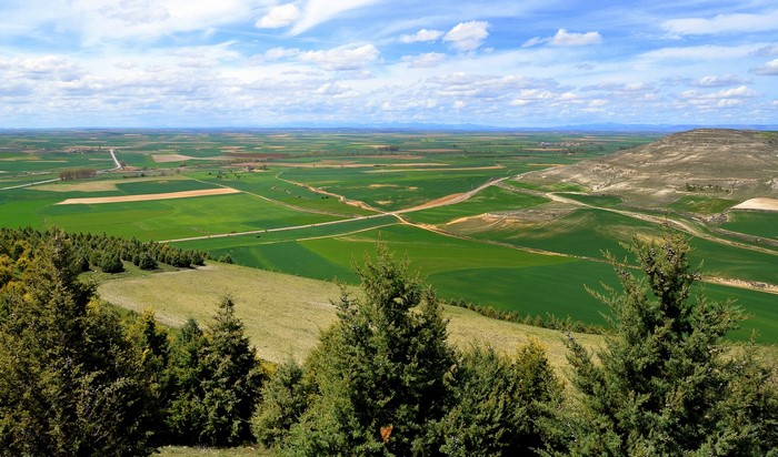 Expansive green agricultural fields under a cloudy sky