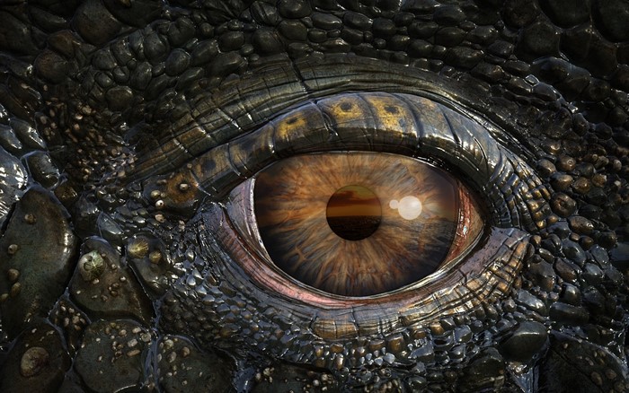 Close-up of a reptilian eye reflecting a sunset over the ocean