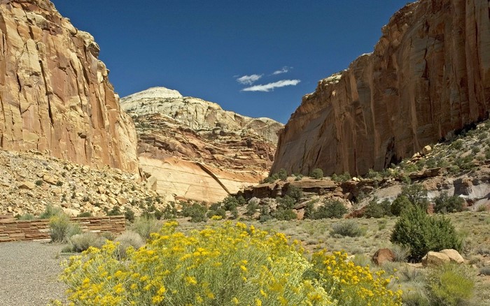 Capitol Reef National Park Canyon Landscape