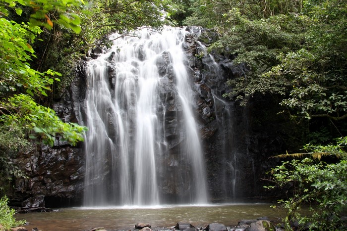 Waterfall in a forest