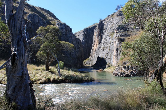River flowing through a rocky canyon with trees