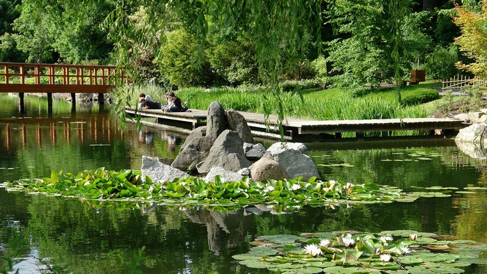 Japanese Garden Park Szczytnicki in Wroclaw, Poland
