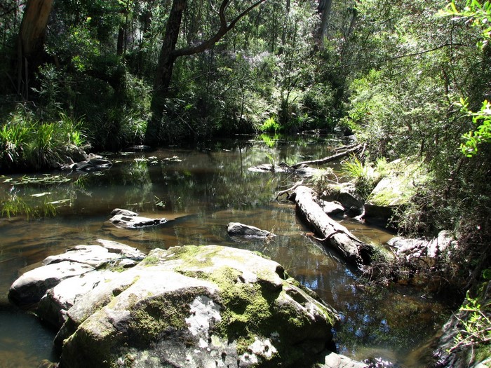 Great Otway National Park