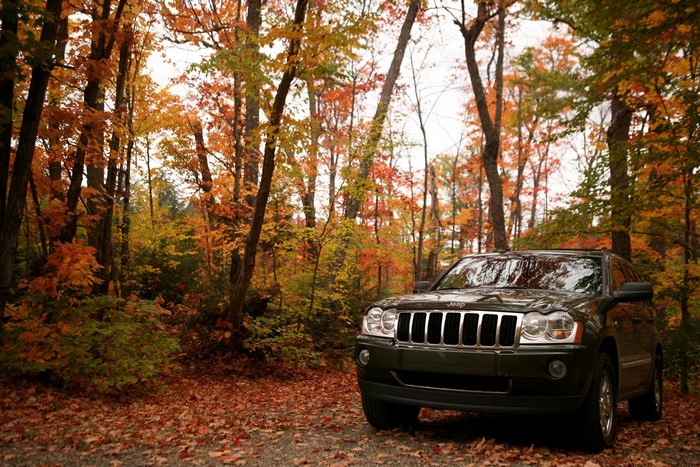 Jeep Grand Cherokee parked in autumn forest
