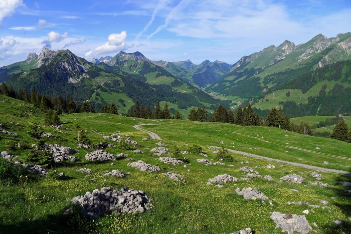 Green mountain valley with a dirt path in Switzerland