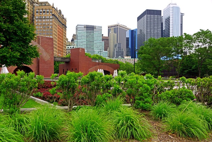 New York City buildings and park with greenery