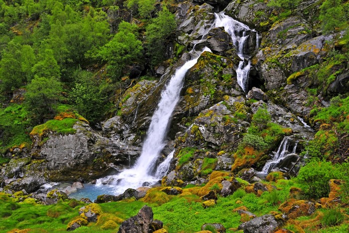 Waterfall cascading down mossy rocks in a forest