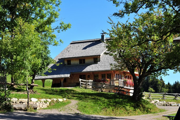Wooden house with shingled roof in a green landscape