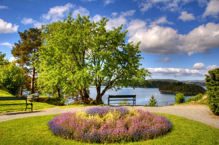 Park with flower bed and lake