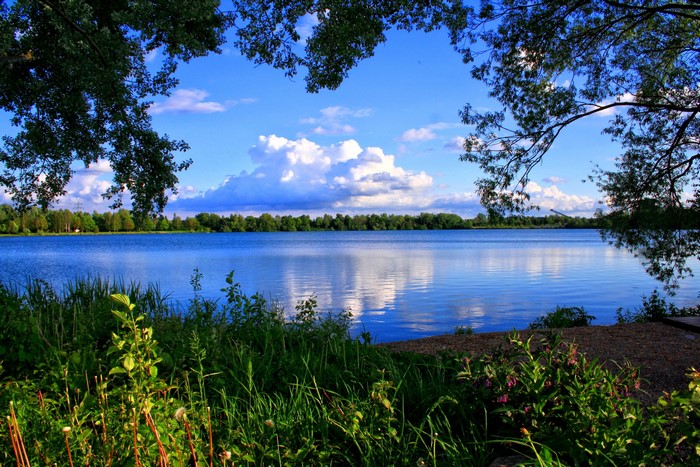 Lake with trees and clouds