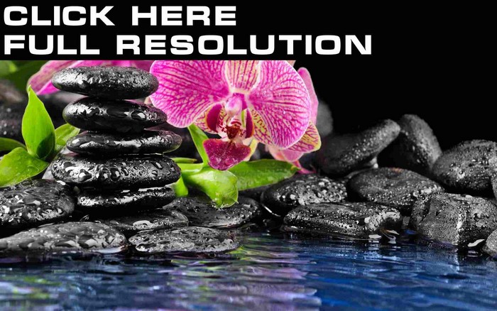Zen stones and orchid with water