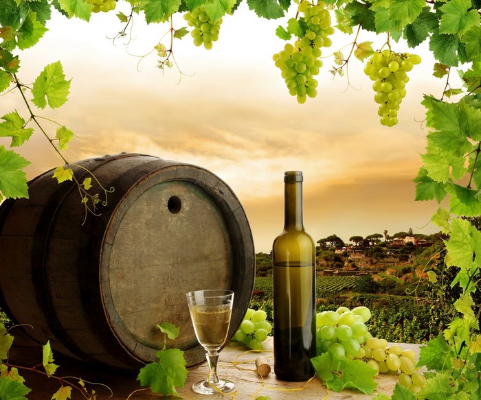 Wine barrel, bottle, glass, and grapes in vineyard