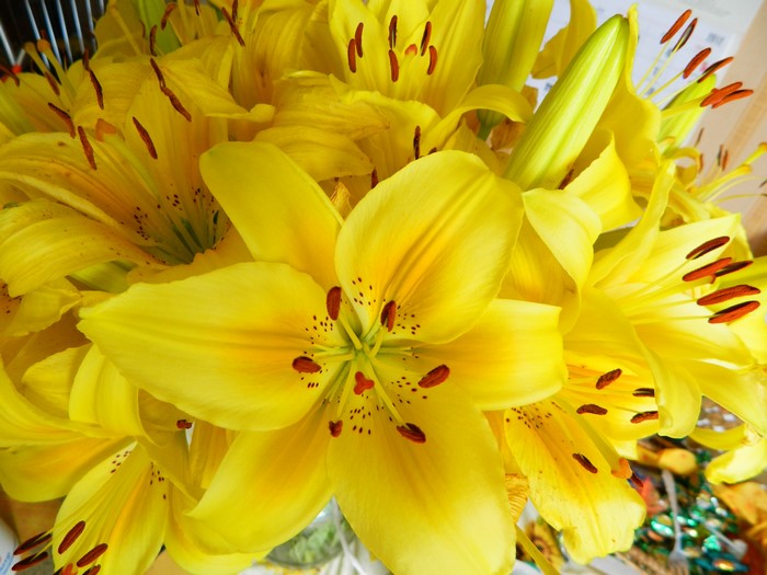 A close-up of bright yellow lilies