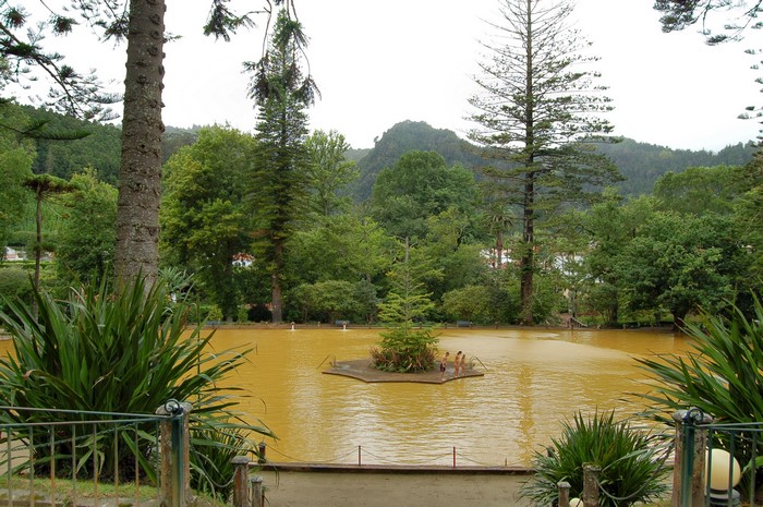People in a park with a yellow pond and trees