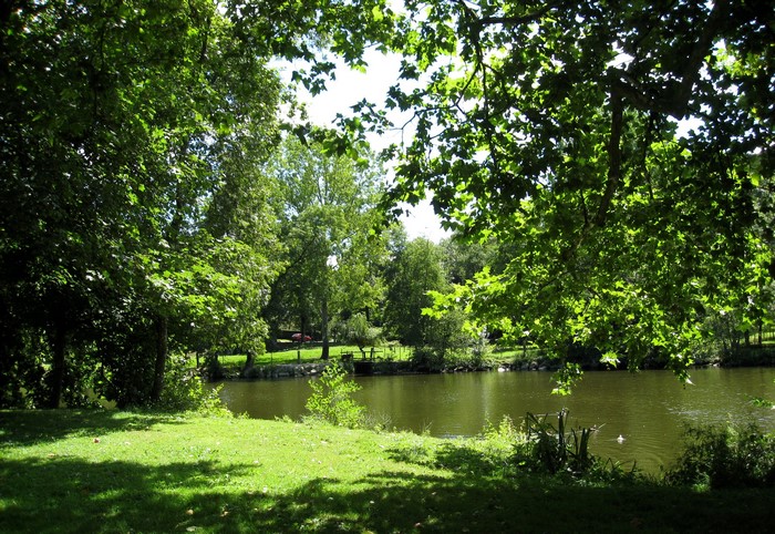 Lake surrounded by trees and green grass