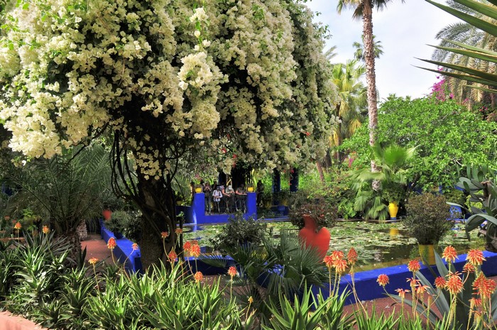 Jardin Majorelle Marrakech Morocco