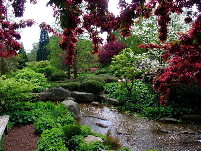 Japanese garden with stream and flowering trees