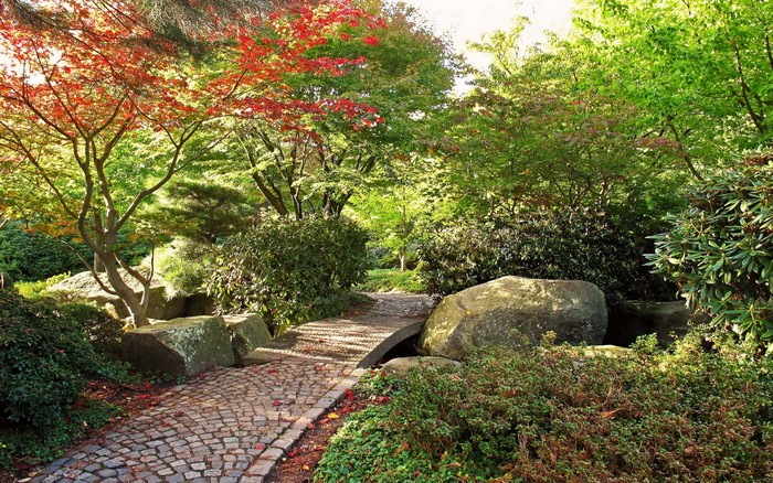 Japanese garden with stone path and autumn trees