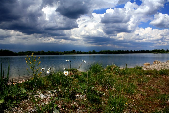 Lake with stormy clouds and flowers
