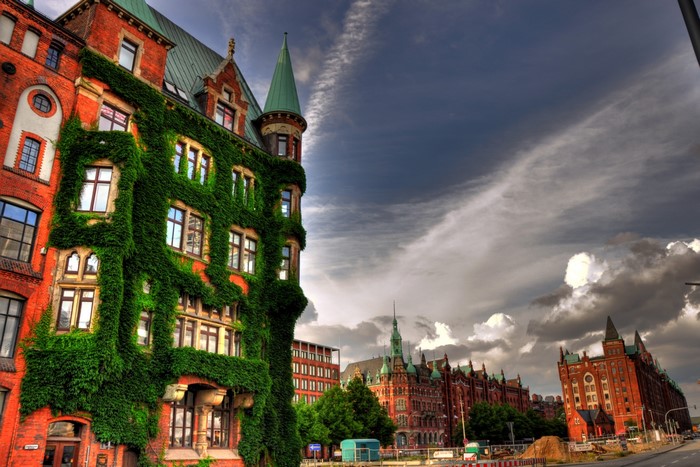 Brick buildings covered in ivy in Hamburg, Germany