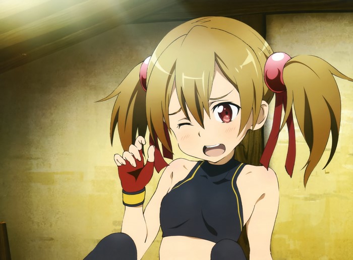 Silica from Sword Art Online