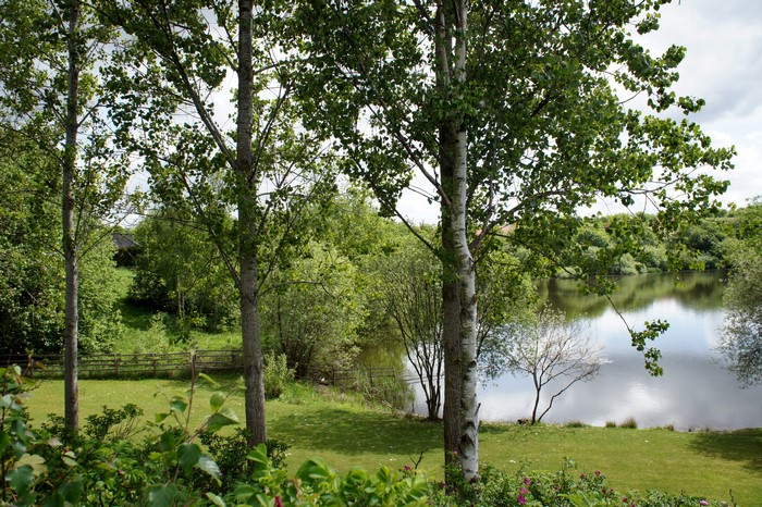 Trees and lake with a small building in the background
