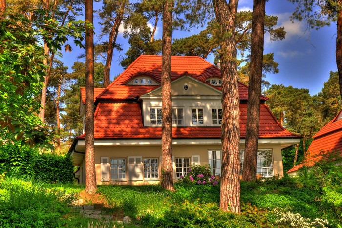 House in a forest in Germany