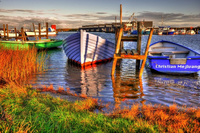 Boats docked in a harbor with reeds and grass