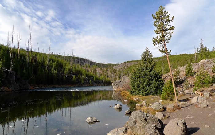 Yellowstone National Park River Landscape