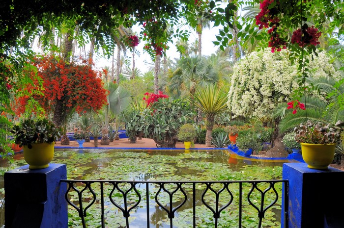 Jardin Majorelle Marrakech Morocco Pond