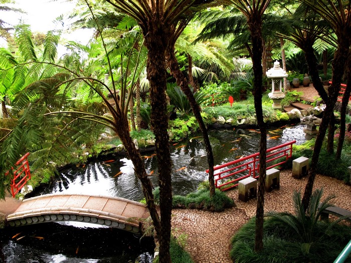 Japanese garden with koi pond and bridges