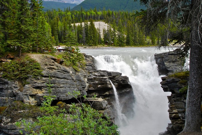 Athabasca Falls in Jasper National Park, Canada