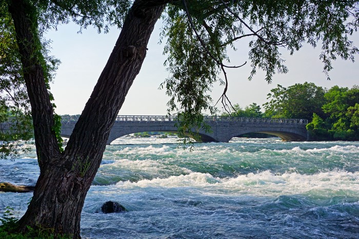Bridge over rapids with tree in foreground