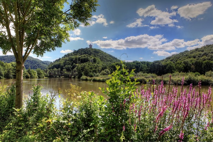 River with a castle on a hill