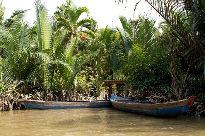 Two wooden boats on a river with tropical foliage